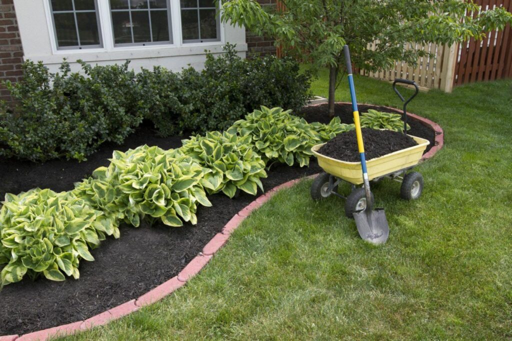 Mulch and edging in a flowerbed with green plants.