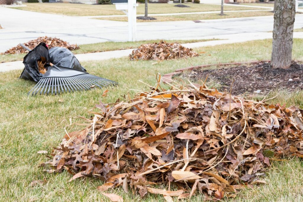Spring and fall cleanups help a lot to keep a place tidy.